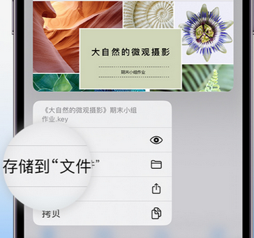 裕华apple维修中心分享iPhone文件应用中存储和找到下载文件