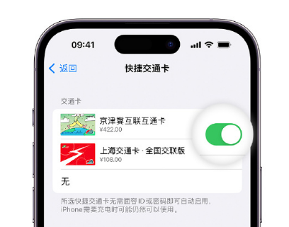 裕华apple维修点分享iPhone上更换Apple Pay快捷交通卡手绘卡面 