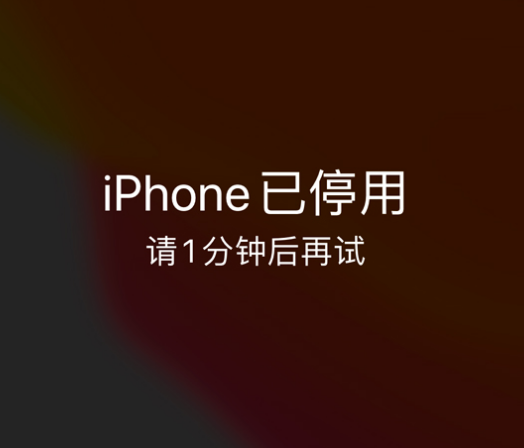 裕华苹果手机维修分享:iPhone 显示“不可用”或“已停用”怎么办？还能保留数据吗？ 