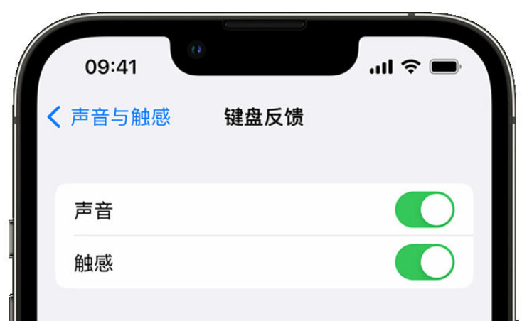 裕华苹果手机维修分享iPhone 14触感键盘使用方法 