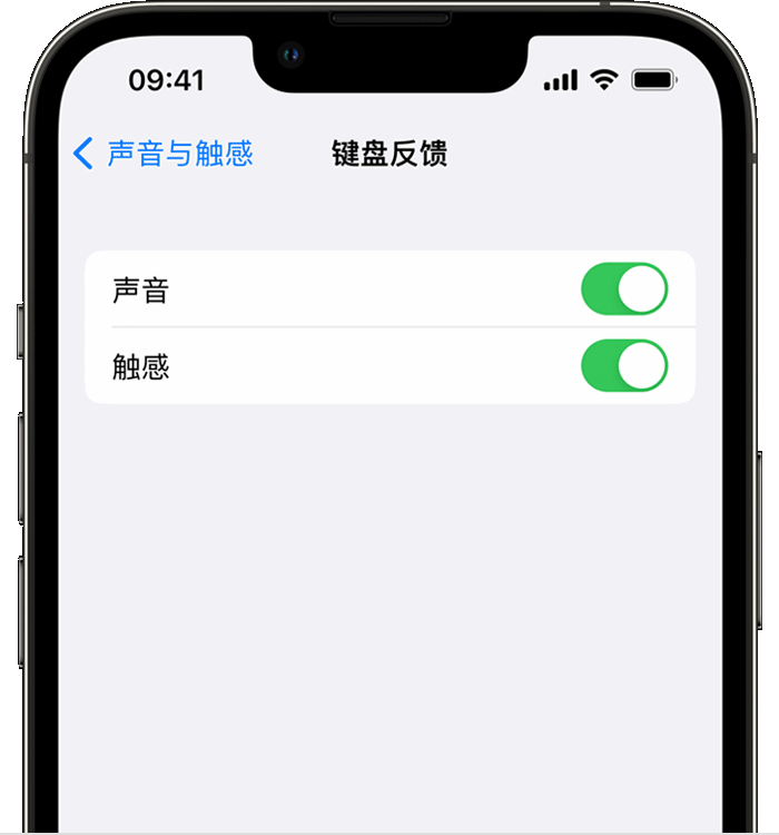 裕华苹果14维修店分享如何在 iPhone 14 机型中使用触感键盘 