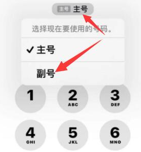 裕华苹果14维修店分享iPhone 14 Pro Max使用副卡打电话的方法 