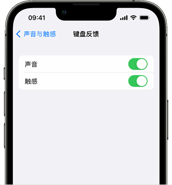 裕华苹果14维修分享iPhone 14 系列机型如何开启键盘声音或触感反馈 