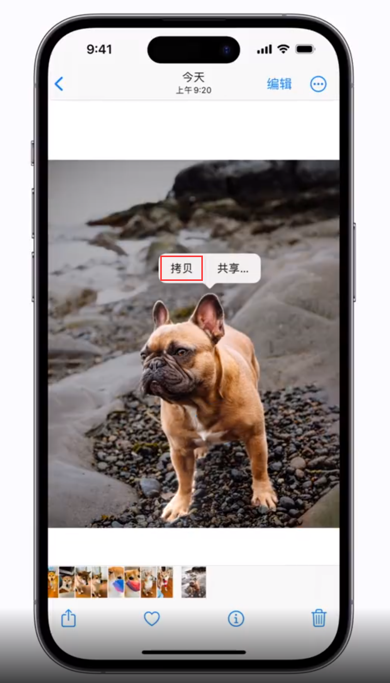 裕华苹果手机维修分享 iOS 16 自带一键抠图功能 