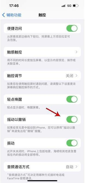 裕华苹果手机维修分享iPhone手机如何设置摇一摇删除文字 